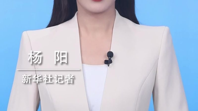 软件测试工程师的必备技能：接口测试的重要性